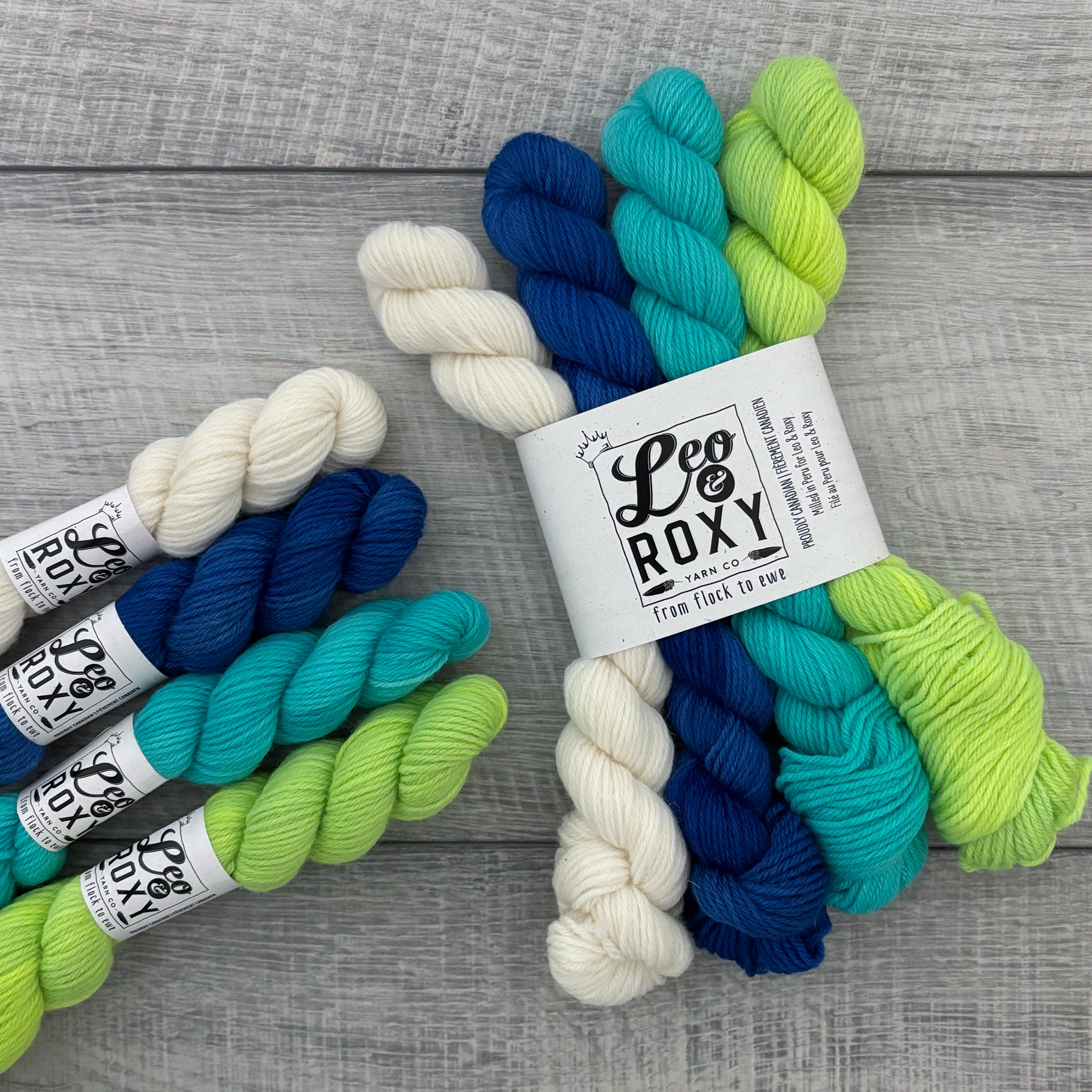 Gnome-tastic Mini Sets - Natural Sock – Leo and Roxy Yarn Co