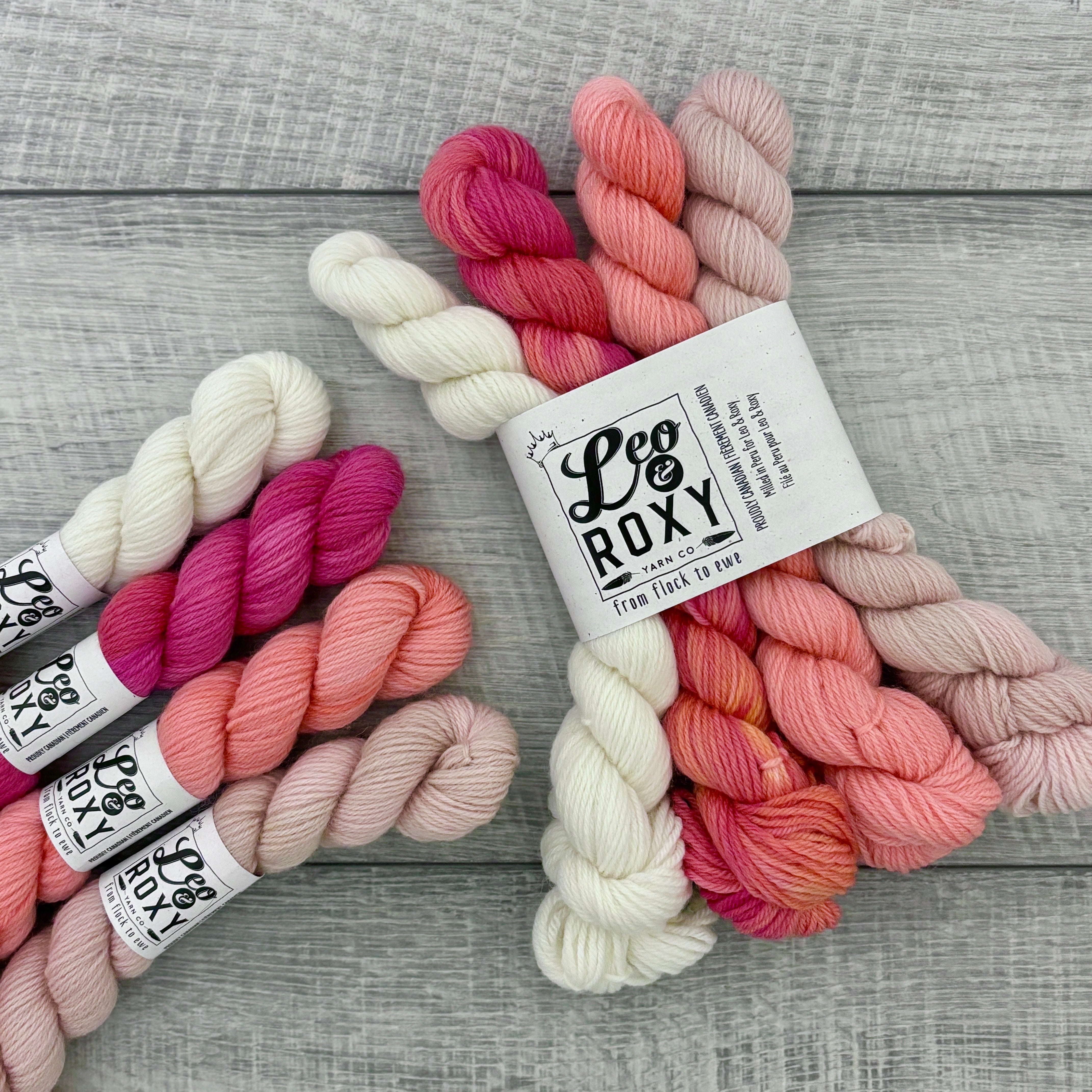 Gnome-tastic Mini Sets - Natural Sock – Leo and Roxy Yarn Co