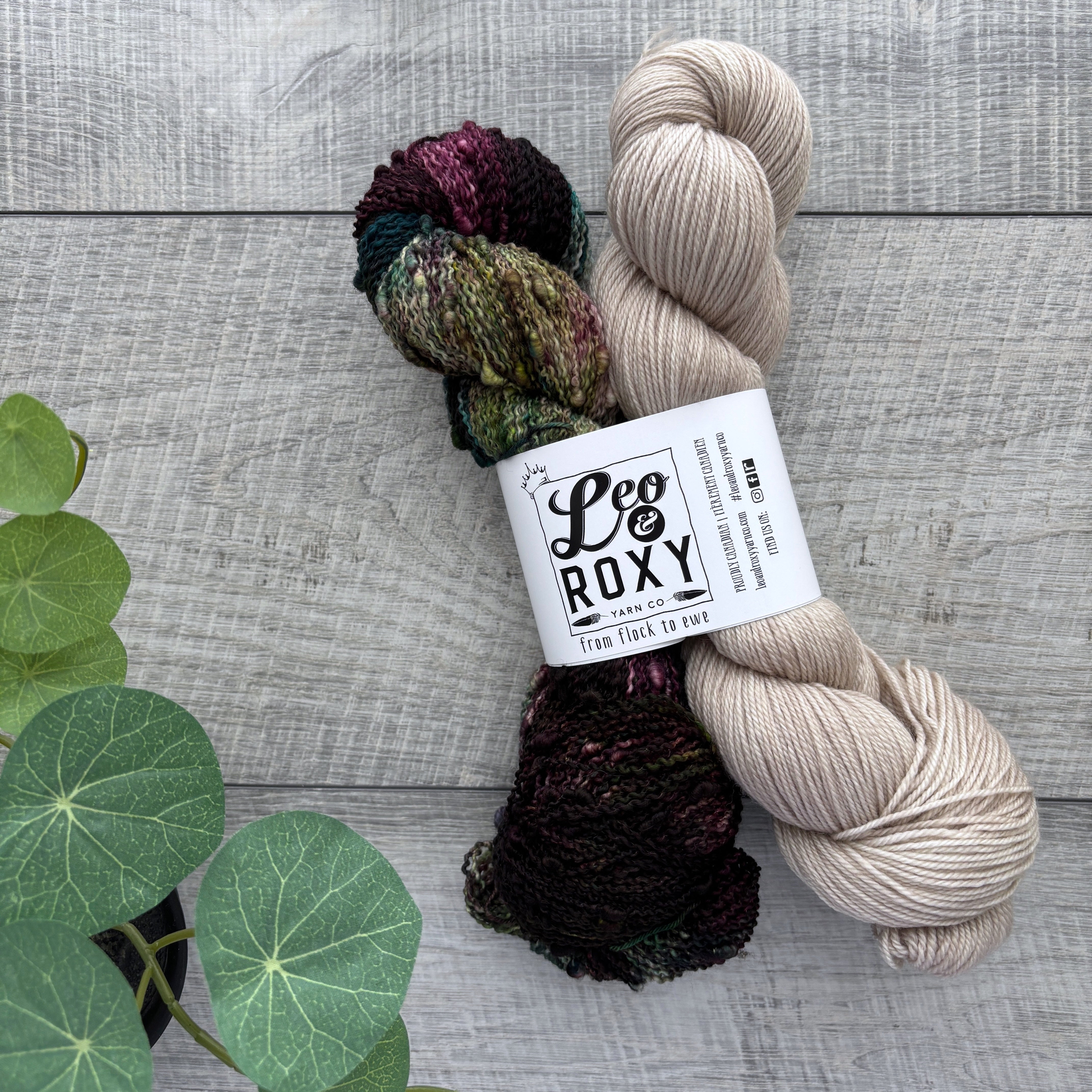 One for April Shawl Sets – Leo and Roxy Yarn Co